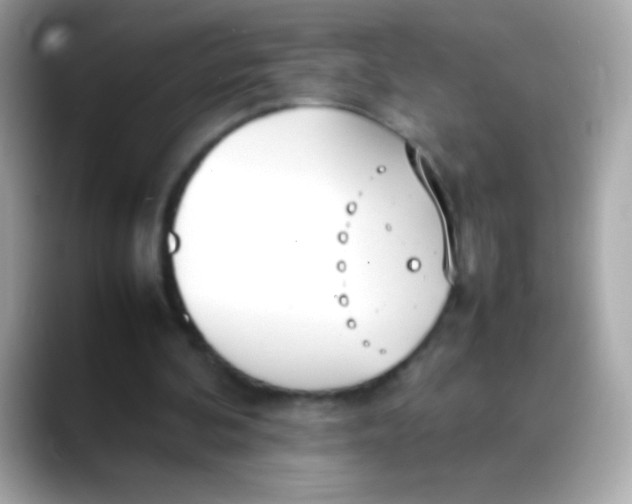 X0000088050292200706011347