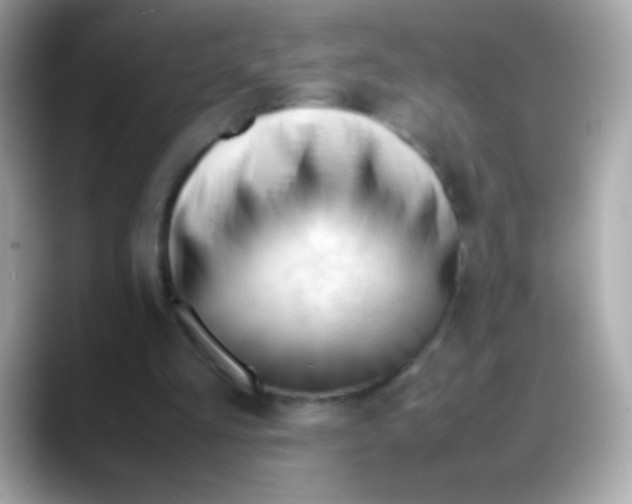X0000088050293200706011347