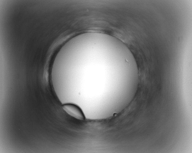 X0000088050294200706011347