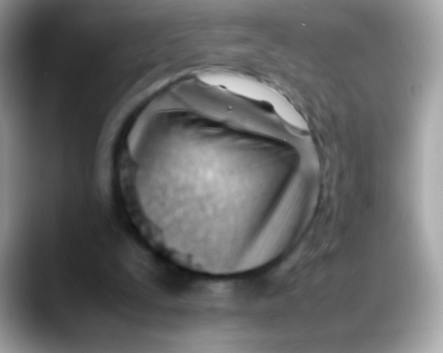 X0000088050295200706011347