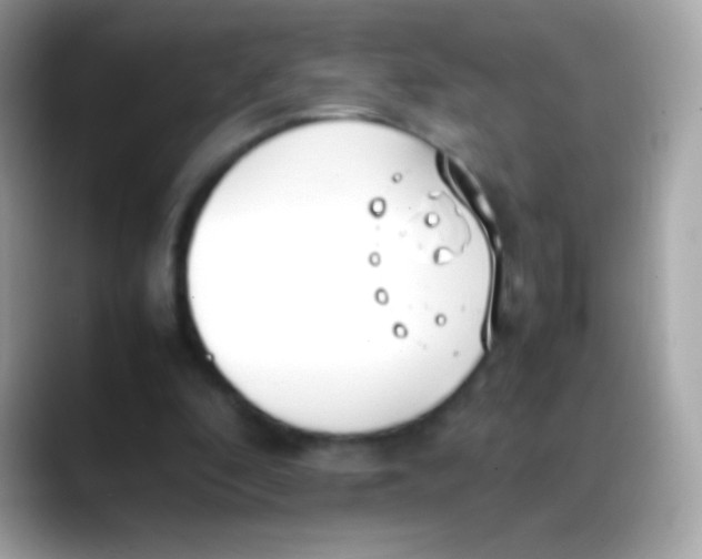 X0000088050296200706011347