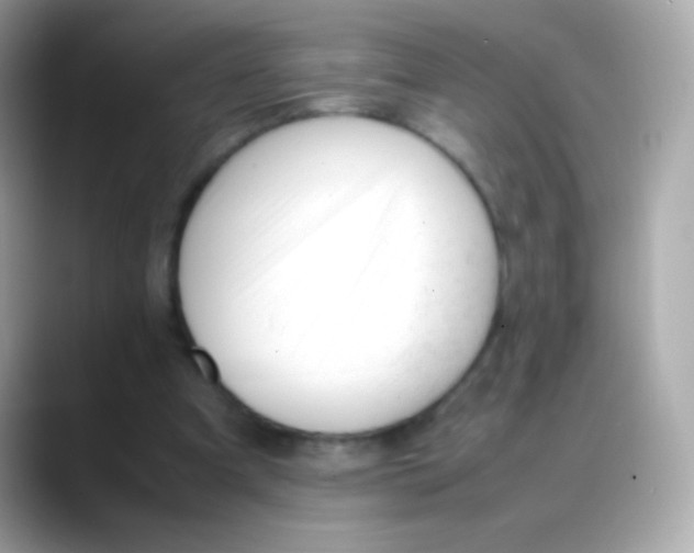 X0000088050297200706011347