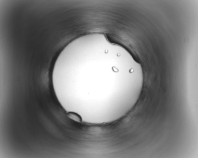 X0000088050298200706011347