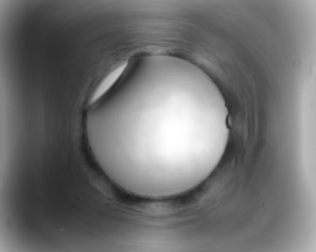 X0000088050303200706011347