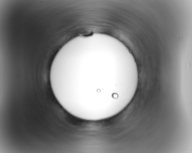X0000088050305200706011347