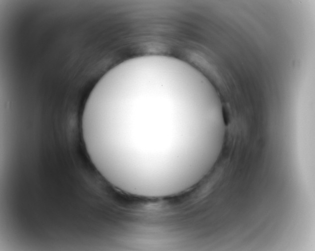X0000088050306200706011347