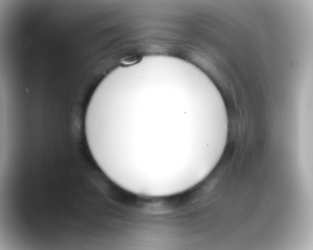 X0000088050309200706011347