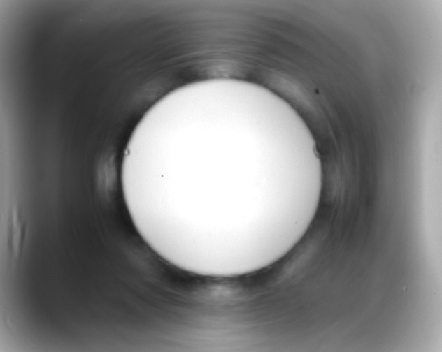 X0000088050310200706011347