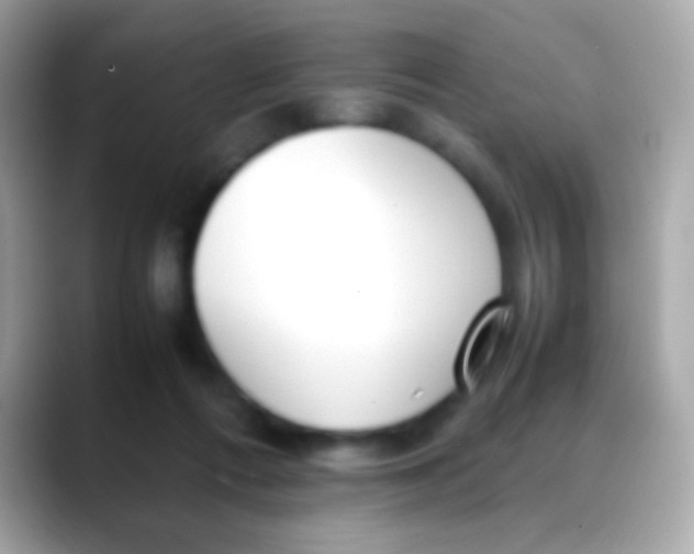 X0000088050312200706011347
