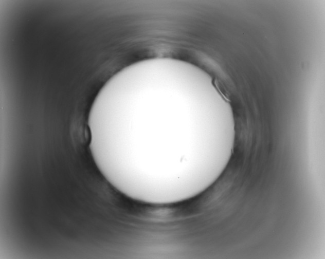 X0000088050313200706011347