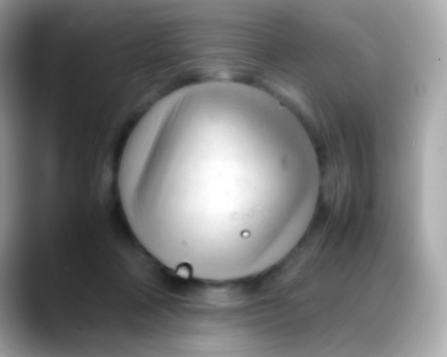 X0000088050314200706011347