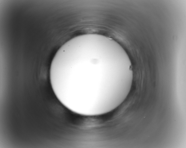 X0000088050315200706011347
