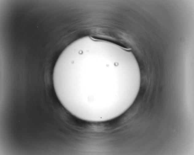X0000088050317200706011347