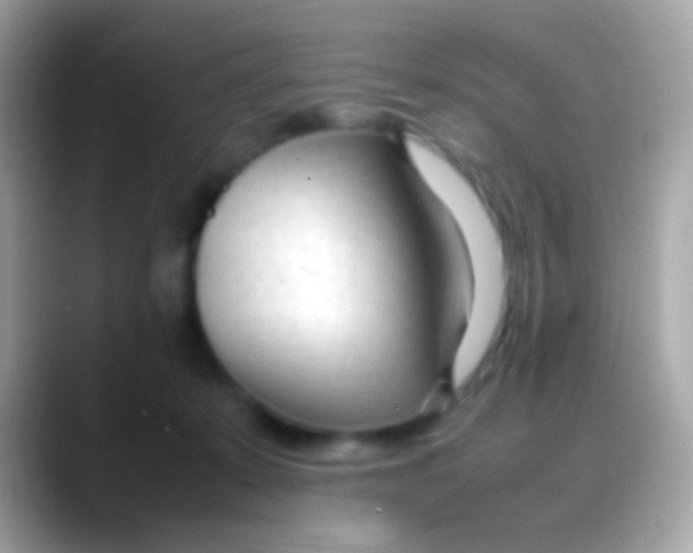 X0000088050319200706011347