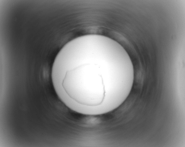 X0000088050326200706011347