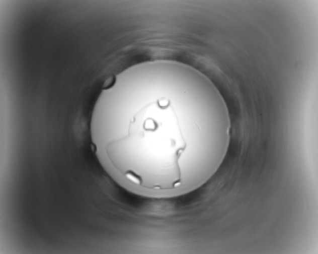 X0000088050327200706011347