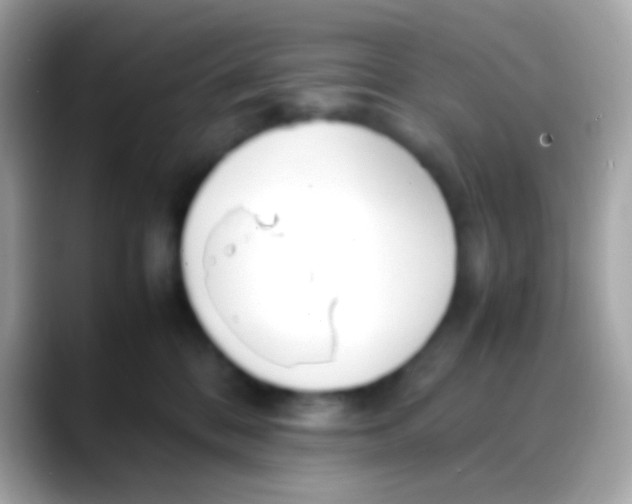 X0000088050328200706011347