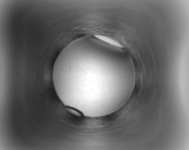 X0000088050331200706011347