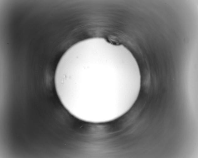 X0000088050332200706011347
