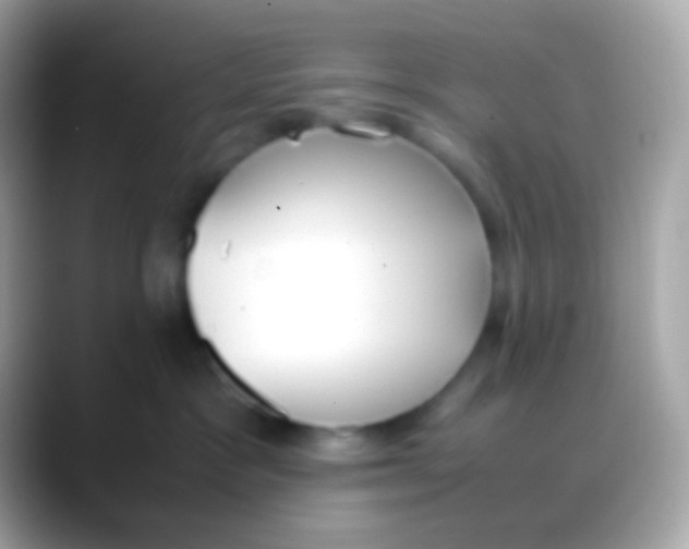 X0000088050333200706011347