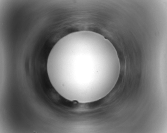 X0000088050335200706011347
