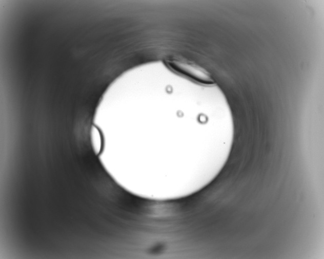 X0000088050336200706011347