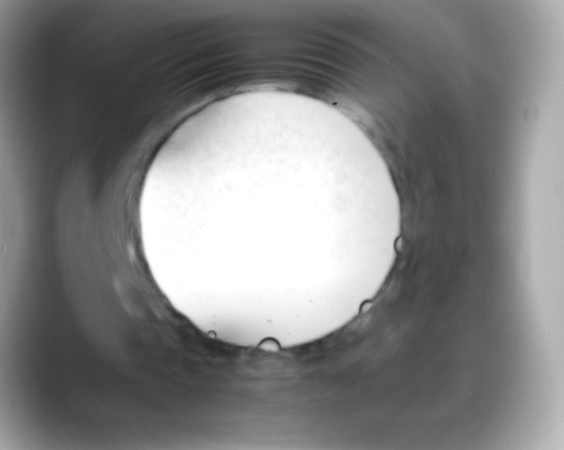 X0000088050337200706011346