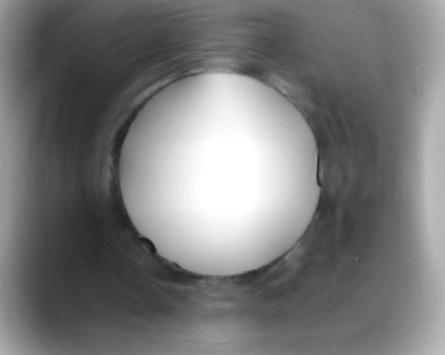 X0000088050338200706011346