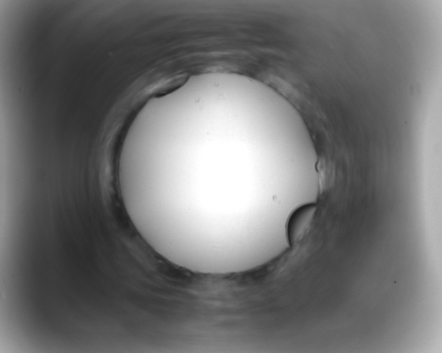 X0000088050339200706011346