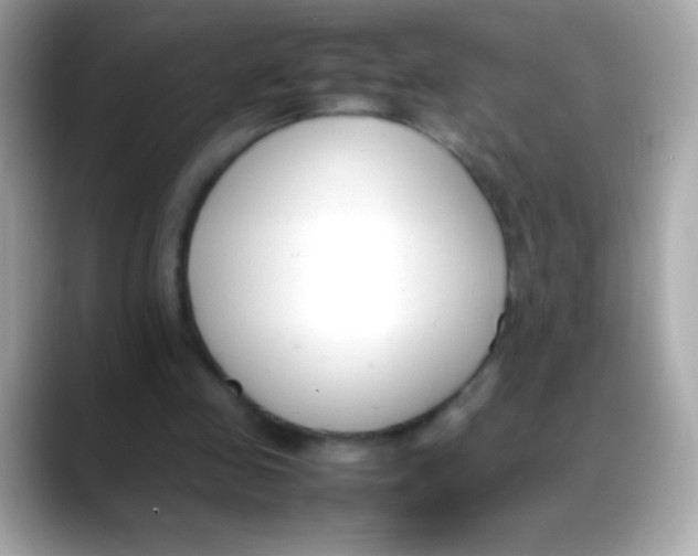 X0000088050341200706011346