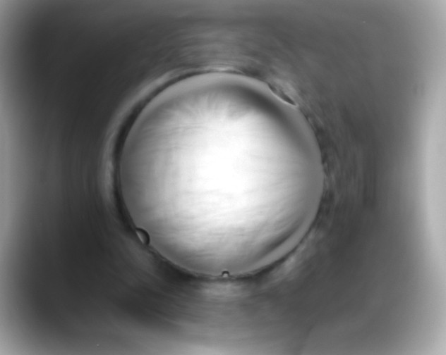 X0000088050342200706011346
