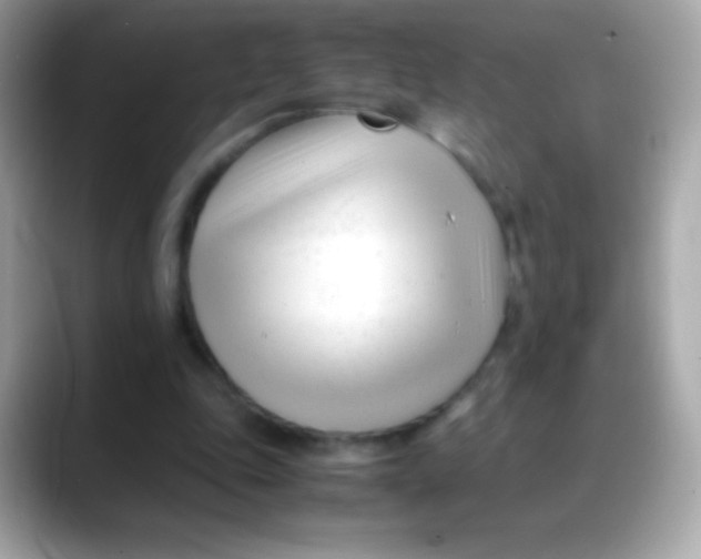 X0000088050343200706011346