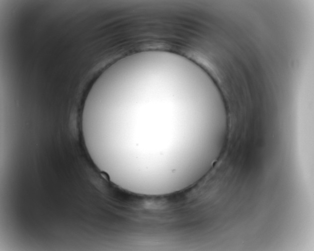 X0000088050345200706011346