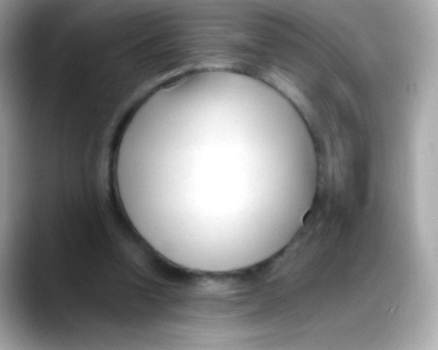 X0000088050346200706011346