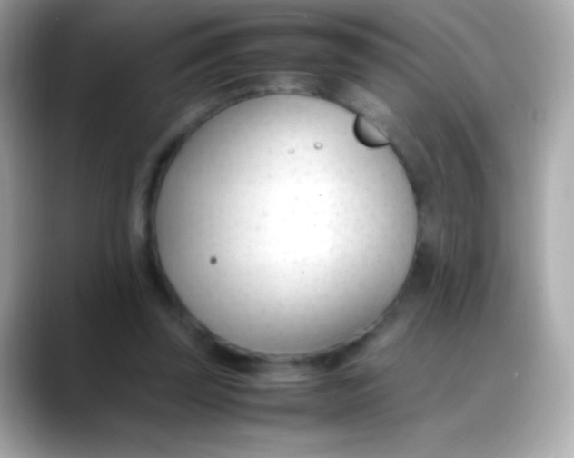 X0000088050347200706011346