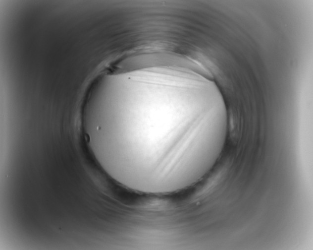 X0000088050348200706011346
