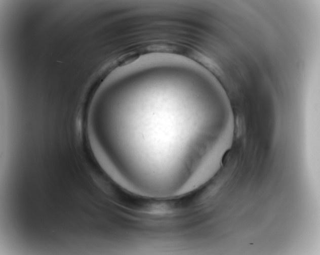 X0000088050349200706011346