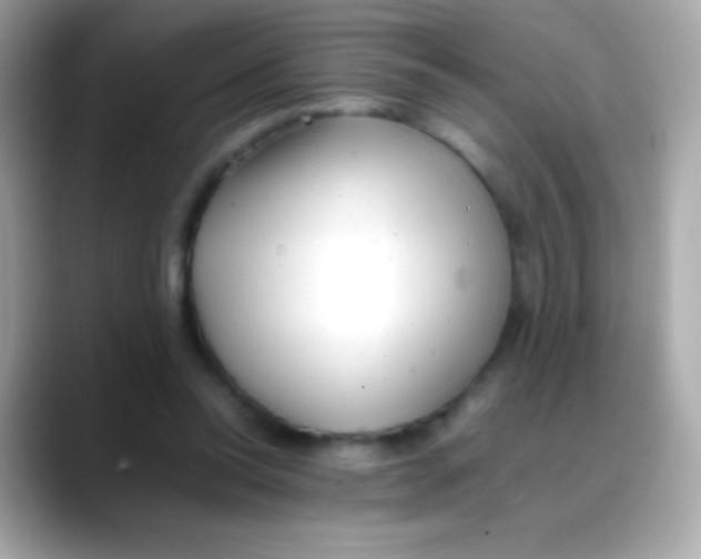 X0000088050350200706011346