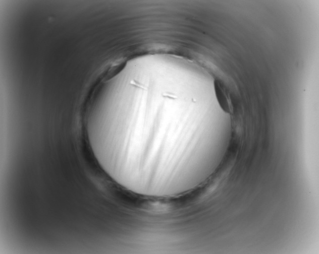 X0000088050352200706011346