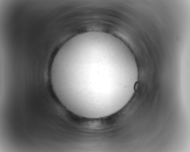 X0000088050353200706011346