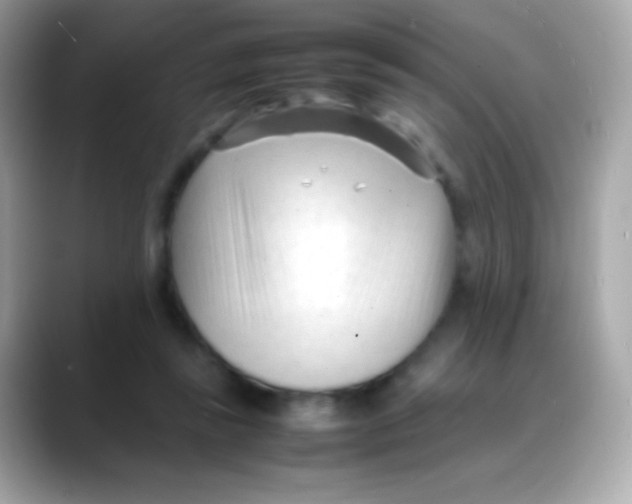 X0000088050355200706011346