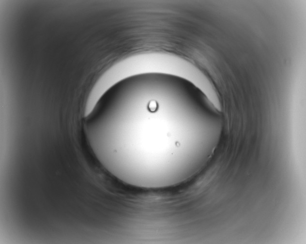 X0000088050356200706011346