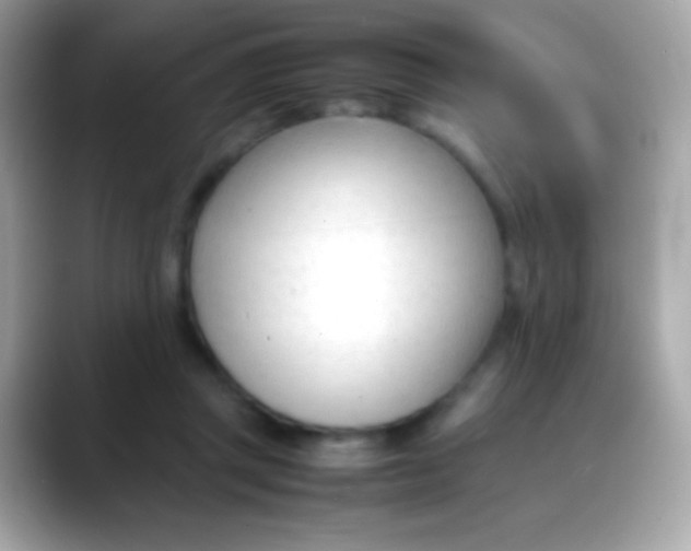X0000088050357200706011346
