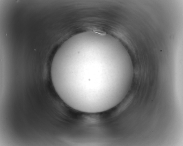 X0000088050359200706011346