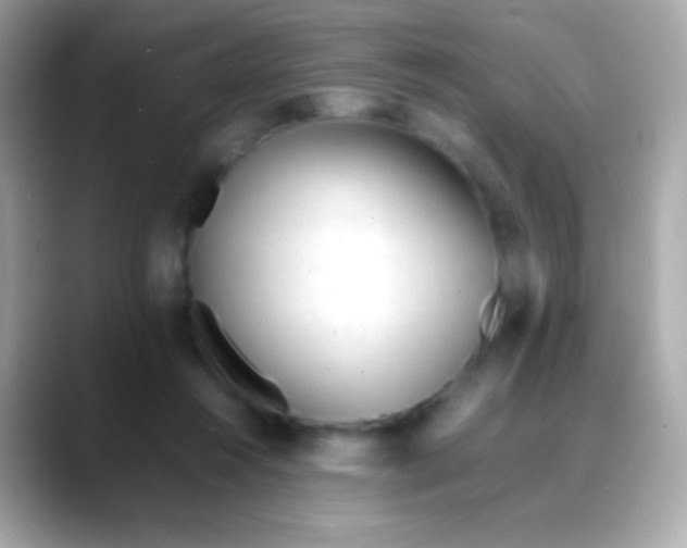 X0000088050360200706011346