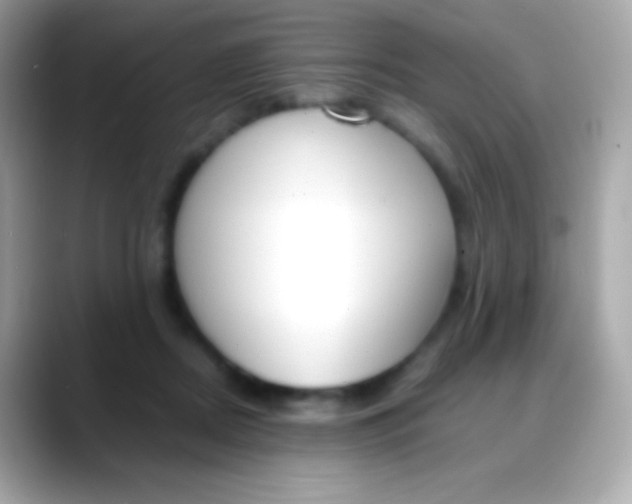 X0000088050362200706011346