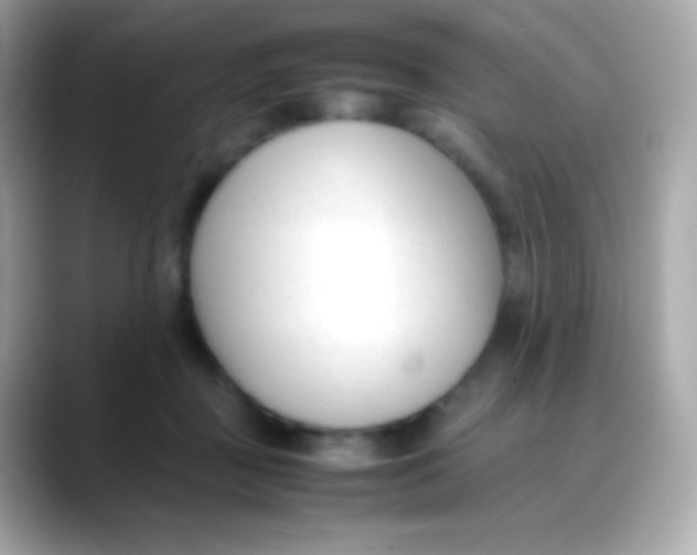 X0000088050363200706011346