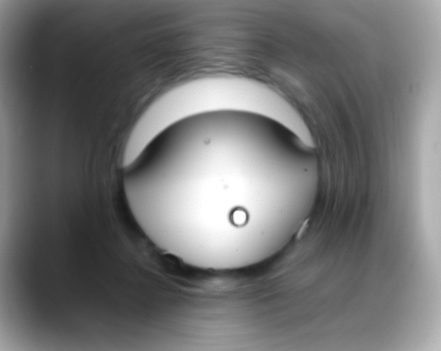 X0000088050364200706011346