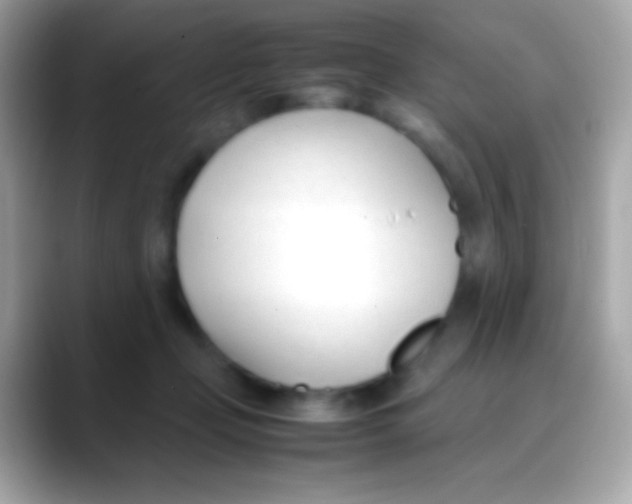 X0000088050365200706011346