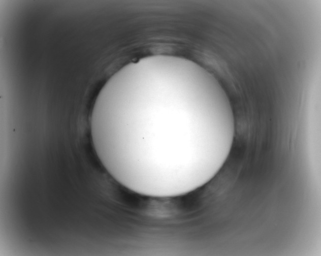 X0000088050367200706011346